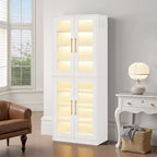 Tall Shoe Storage Cabinet with LED Lights and Frosted Acrylic Doors