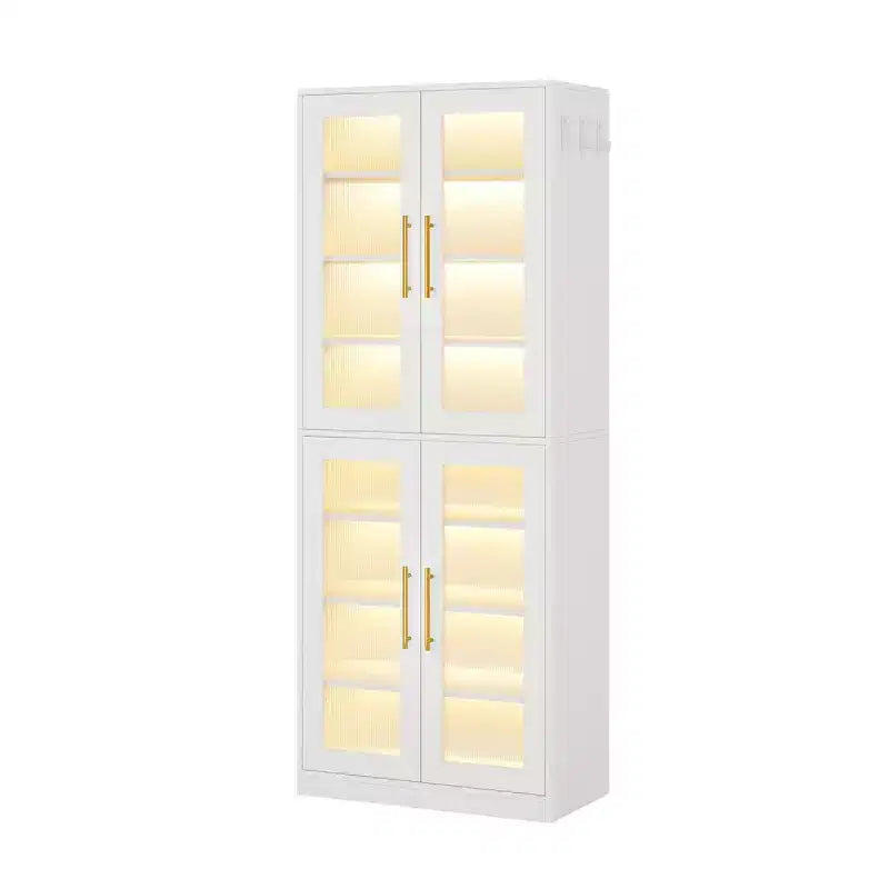 Tall Shoe Storage Cabinet with LED Lights and Frosted Acrylic Doors