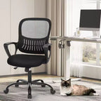 Modern Mesh Lumbar Support Ergonomic Office Gaming Chair with Non-Adjustable Arms